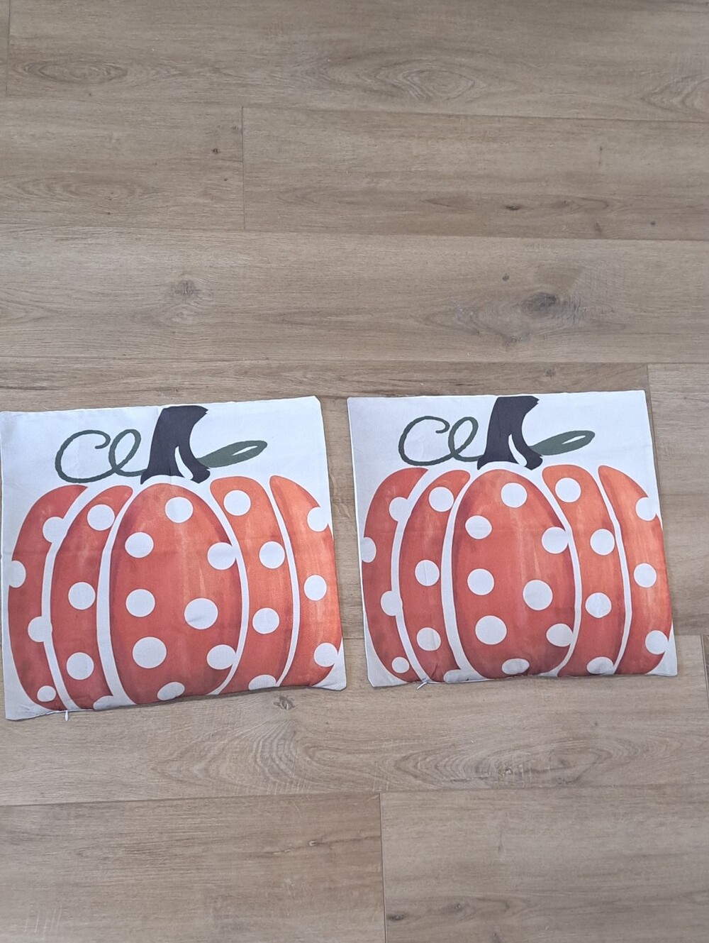 NWOT Cottagecore Farmhouse Halloween Fall Thanksgiving Pumpkin Pillow Covers 2.